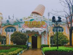-上海海昌海洋公园