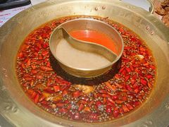 美蛙火锅-哥老官重庆美蛙鱼头(宝山龙湖店)