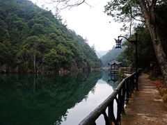 -龙湾潭国家森林公园