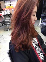-SALON V
