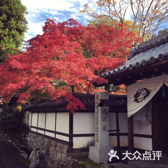 天授庵庭园图片 - 第6张