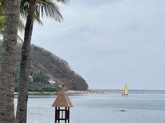 -日落吧·海景咖啡厅·餐酒吧·鸡尾酒·下午茶·乐队表演·浪漫夕阳·三亚文华东方酒店