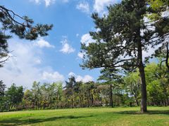 -长春市南湖公园