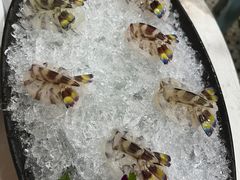 -富来美食