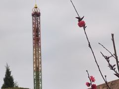-蓬莱欧乐堡梦幻世界