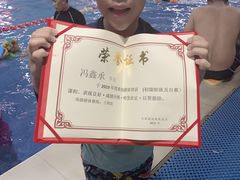 -鲨鱼游泳培训中心