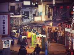 -猫咪博物馆(顶澳仔猫街店)