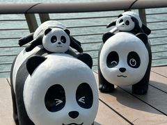 -星光大道