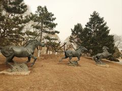 -元大都城垣遗址公园