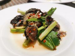 -博悦茶餐厅(文殊院店)