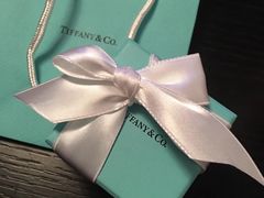 -Tiffany & Co.蒂芙尼
(天津万象城店)