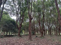 -嘉北郊野公园