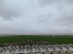 -南汇嘴观海公园