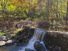-玉渡山自然风景区