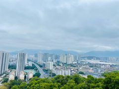 -金鸡山公园