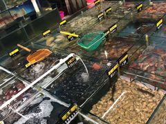 -明记海鲜大排档(巽寮湾店)