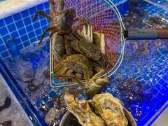 -云海轩·海鲜自助-河北云瑧世纪大饭店1F