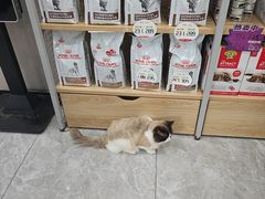 -瑞鹏宠物医院·骨外科·心肾科·肿瘤科(九亭店)