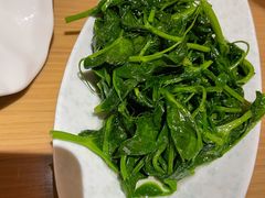 清炒豌豆尖-渝信川菜 · 川味家常菜(财富购物中心店)