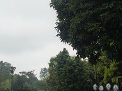 -张坝桂圆林公园