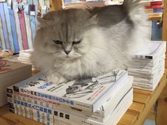 -小时光咖啡馆(开森度假森林店)
