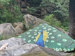 -黑龙潭风景区