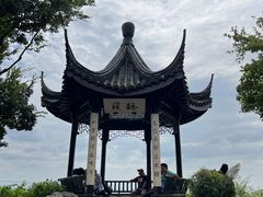 -贡湖湾湿地公园