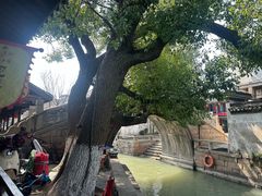 -观桥阁(锦溪店)