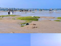 -巧克力渔家.小船海鲜胶东菜(万平口店)