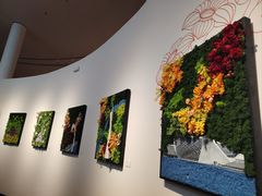 -云溪植物园