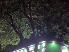 -牛街老爆肚满(牡丹园店)
