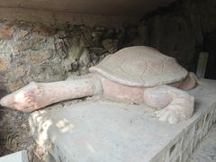 -上海佘山国家森林公园天马山园