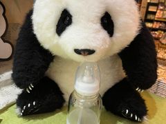 -轩客会(熊猫书店)