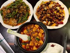 -陈麻婆豆腐总店
