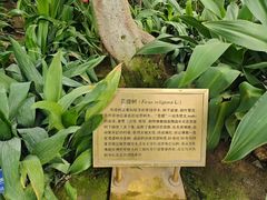 -国家植物园南园