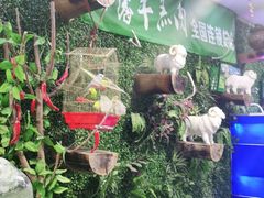 -鹏馨羊羔肉·非遗(新建街店)