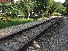 -武吉知马自然保护区