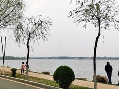 -丁香湖公园