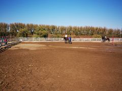 -月河湾马术俱乐部(朝阳店)