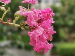 -广州中医药大学第一附属医院(总院)