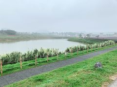 -光明小镇欢乐田园