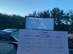 -枫花园汽车电影院(朝阳公园店)