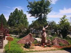 -北京西山国家森林公园