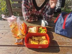 -合肥滨湖国家森林公园