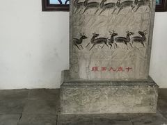 -上海醉白池公园