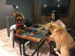 -百好乐宠物友好餐厅(朝外大街店)