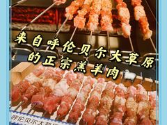 呼伦贝尔羊肉串-很久以前羊肉串(朝阳路店)