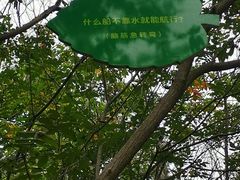 -京东石林峡风景区