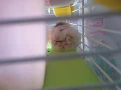 -龙猫仔乐园(惠福东路店)