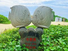-三亚蜈支洲岛旅游区
